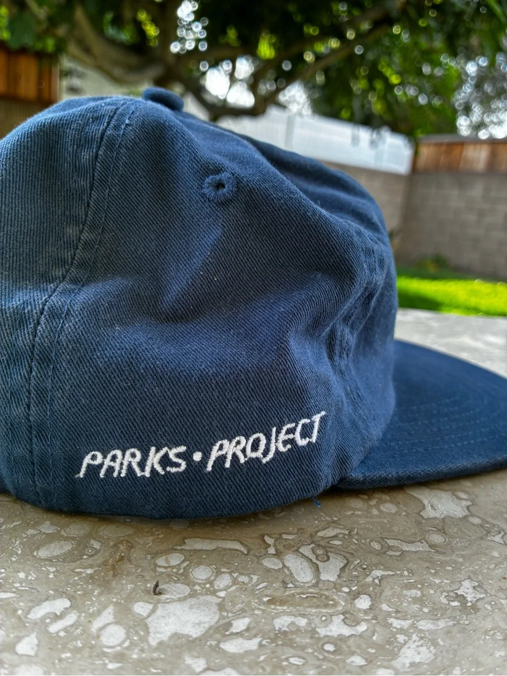 Parks Project Dad Hat